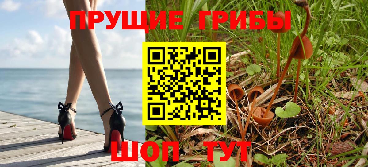 Псилоцибиновые грибы Psilocybe Дзержинск