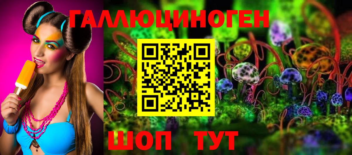 Галлюциногенные грибы Psilocybe  Псилоцибиновые грибы Psilocybe  Дзержинск  купить   Вход с VPN 